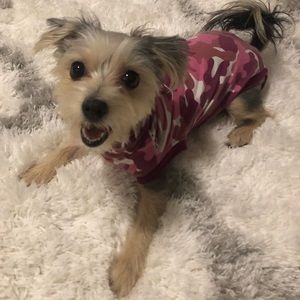 Meet your Posher, Nica